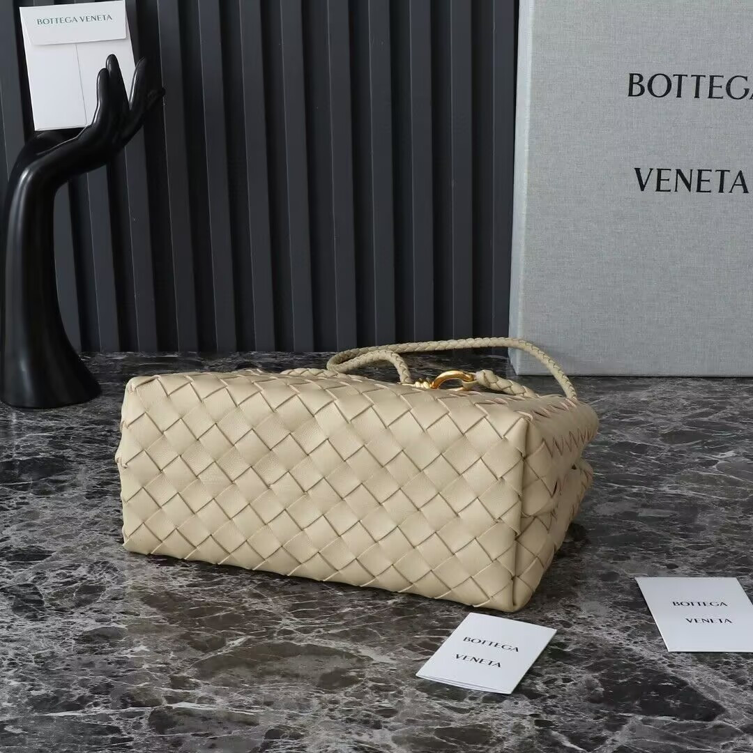 Bottega Veneta Small Andiamo 25x22x10.5cm