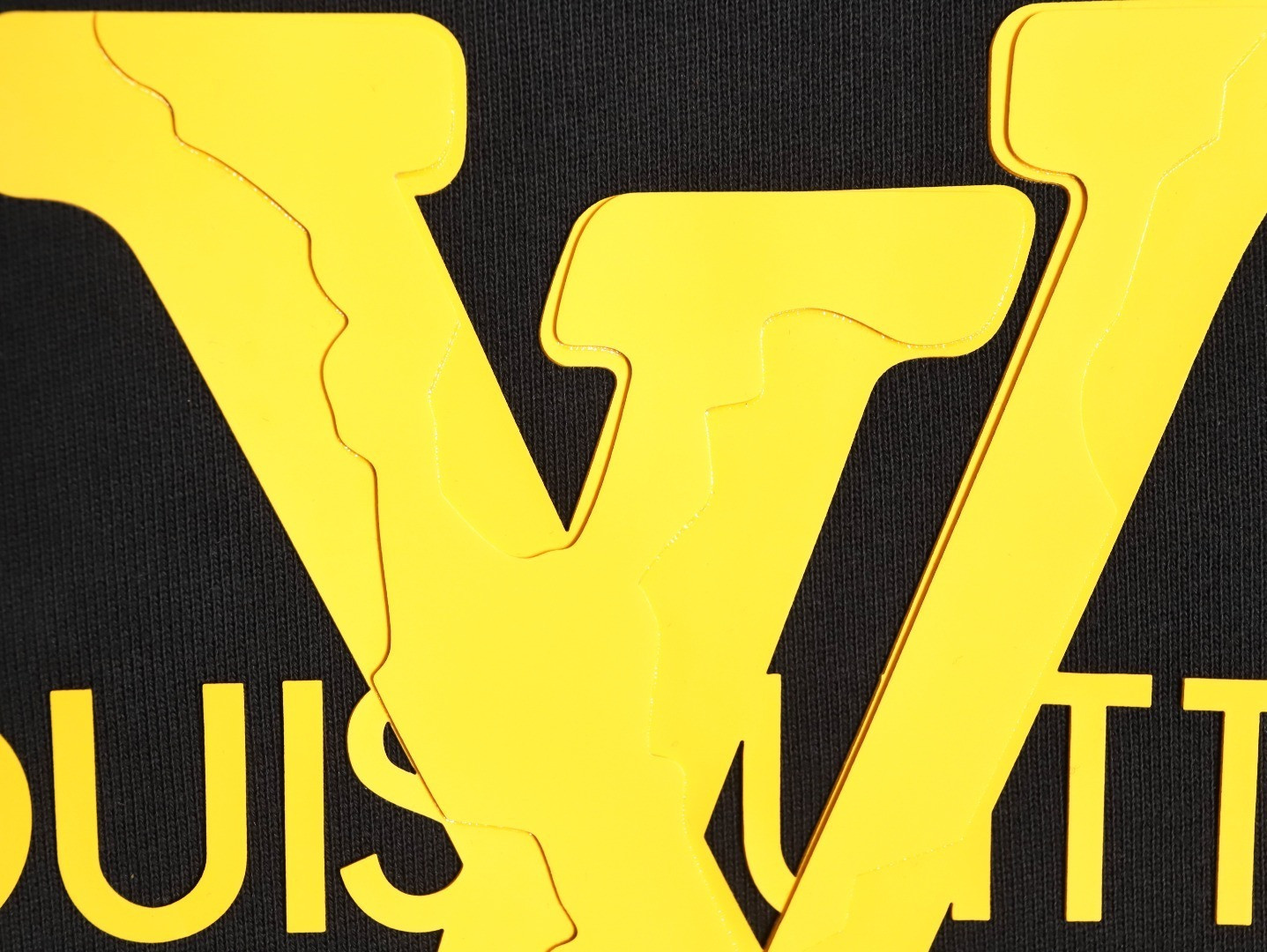 Louis Vuitton LV 25Fw Hoodies