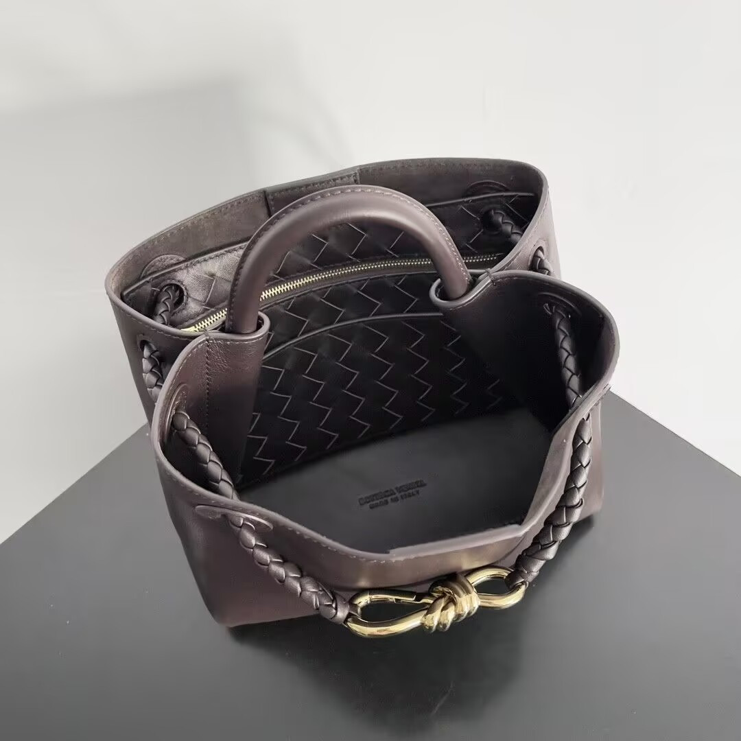 Bottega Veneta Small Andiamo 25x22x10.5cm