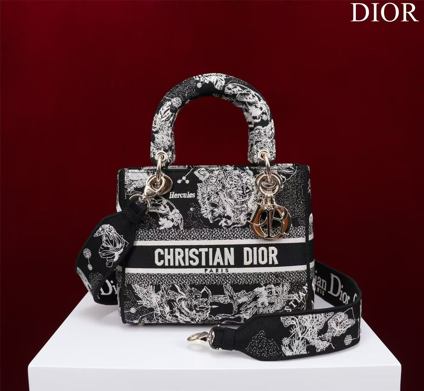 MEDIUM DIOR LADY D-LITE BAG 24 x 20 x 11 cm