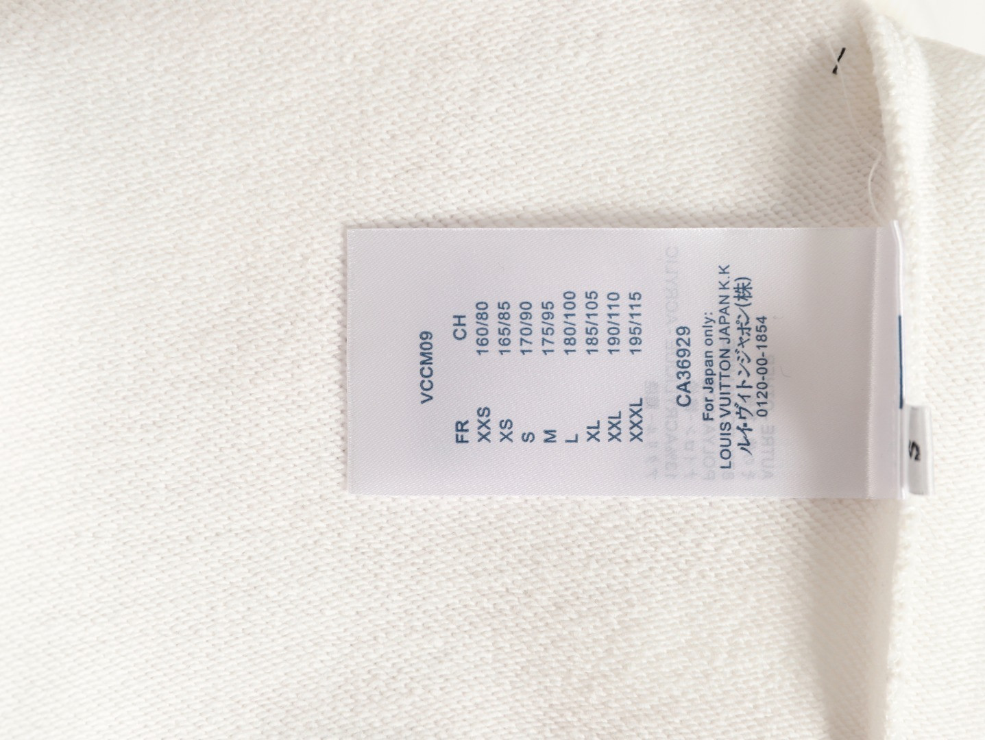 Louis Vuitton LV 25FW Hoodies