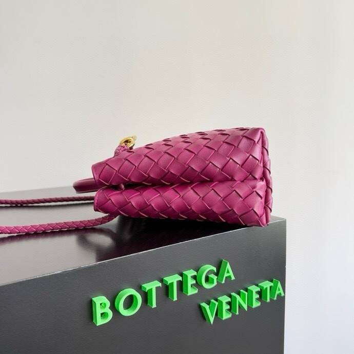 Bottega Veneta Small Andiamo 25x22x10.5cm