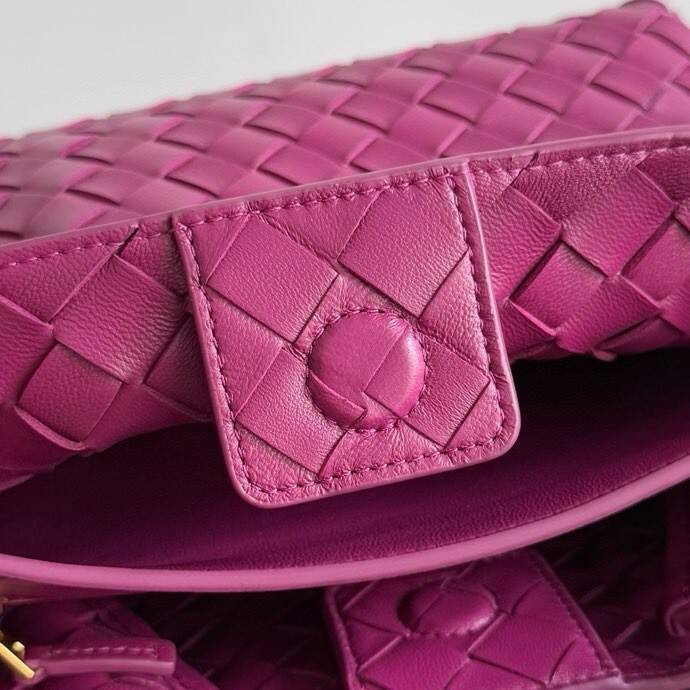 Bottega Veneta Small Andiamo 25x22x10.5cm