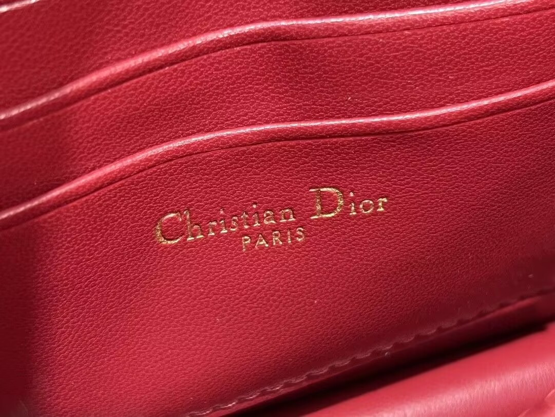 MISS DIOR MINI HANDBAG 21x11.5x4.5cm