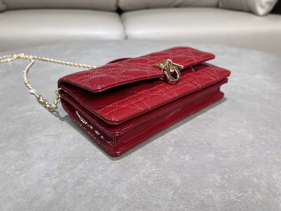 MISS DIOR MINI HANDBAG 21x11.5x4.5cm