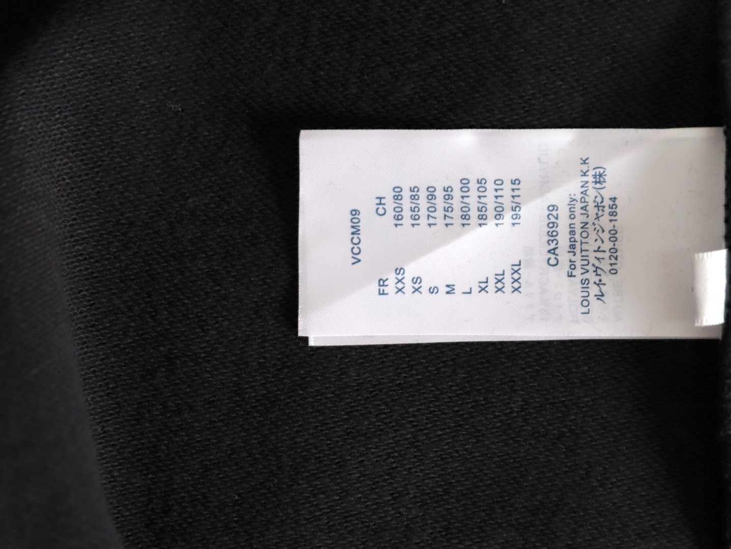 Louis Vuitton LV 25FW Hoodies