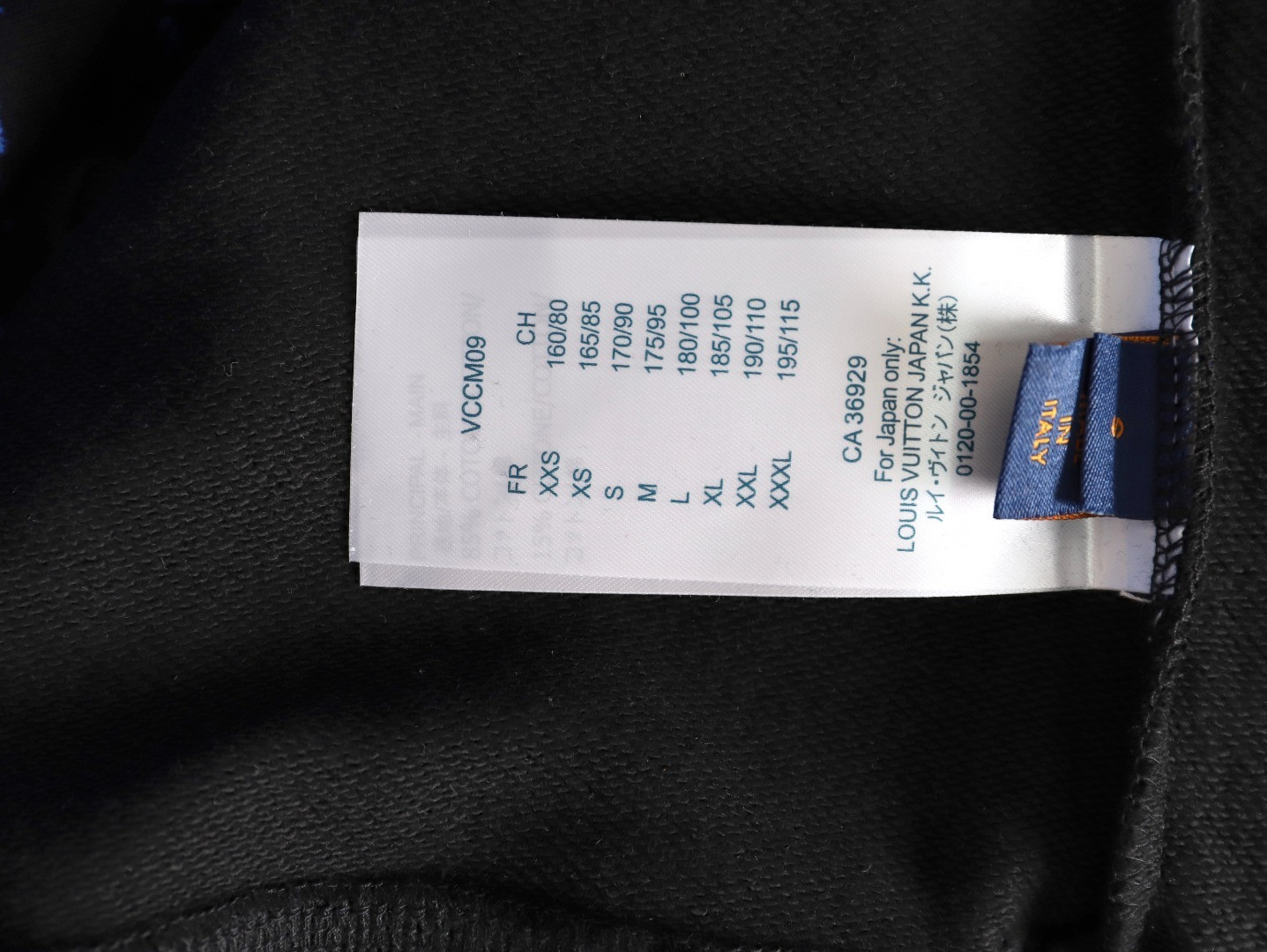 Louis Vuitton LV 25Fw Hoodies