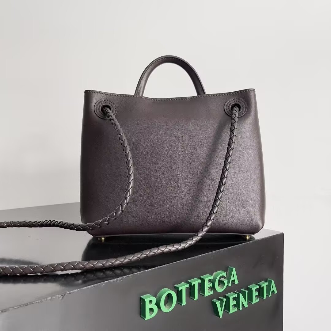 Bottega Veneta Small Andiamo 25x22x10.5cm