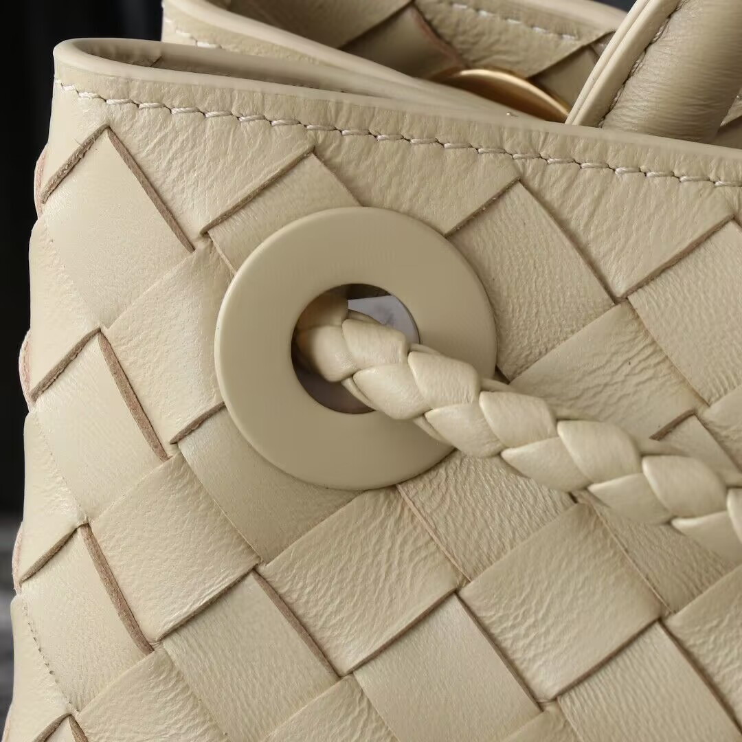 Bottega Veneta Small Andiamo 25x22x10.5cm