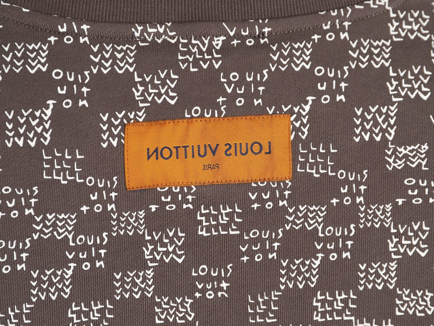 Louis Vuitton 25Fw Hoodies