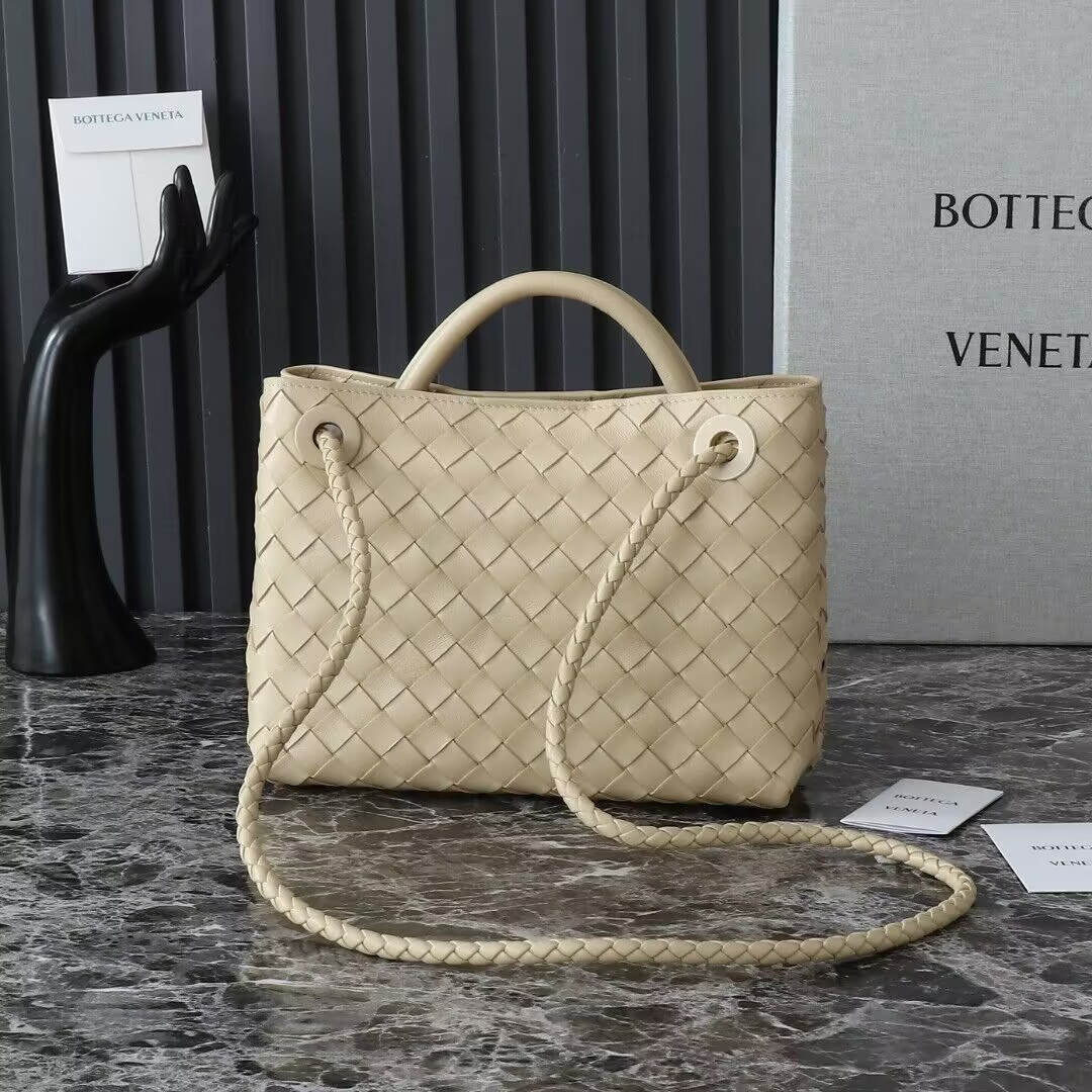 Bottega Veneta Small Andiamo 25x22x10.5cm