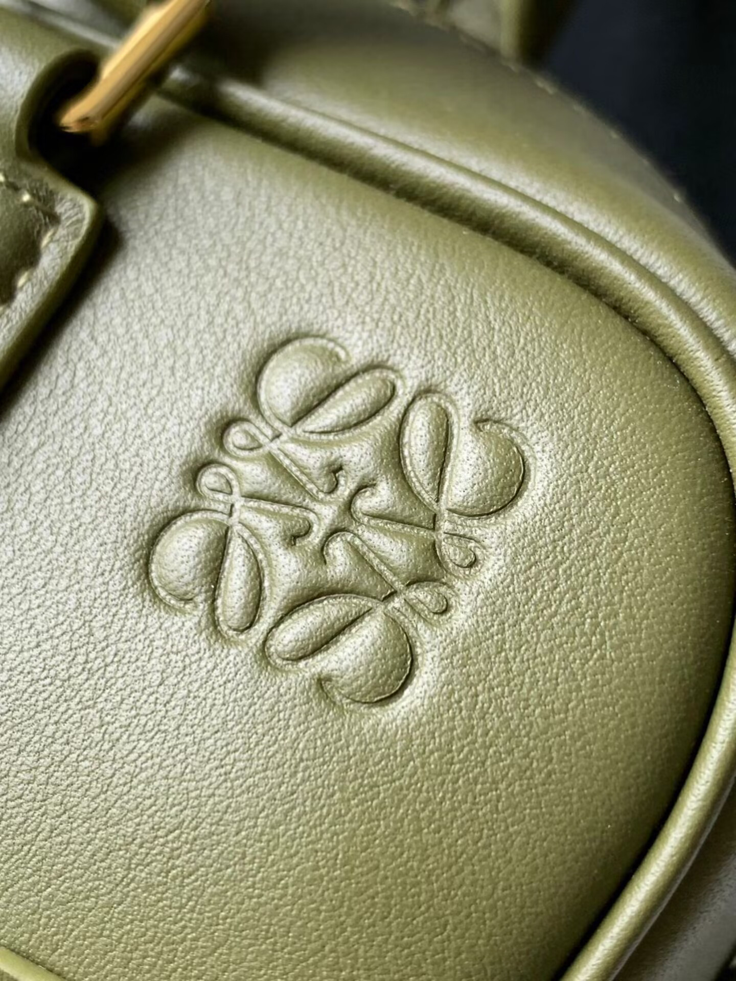 Loewe Amazona 23 Cropped bag in nappa calfskin 23x11x10cm