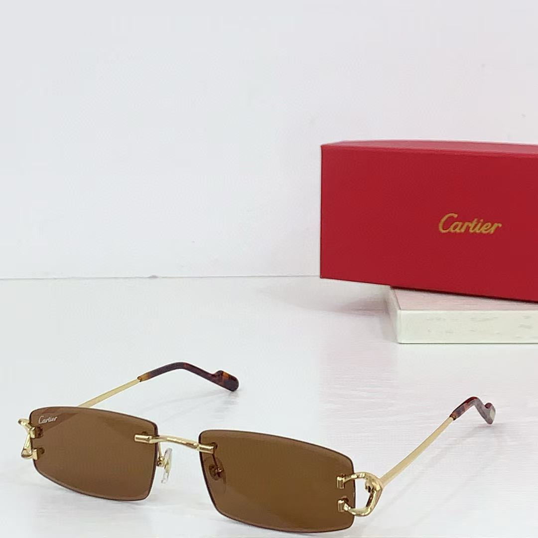 Cartier Glasses