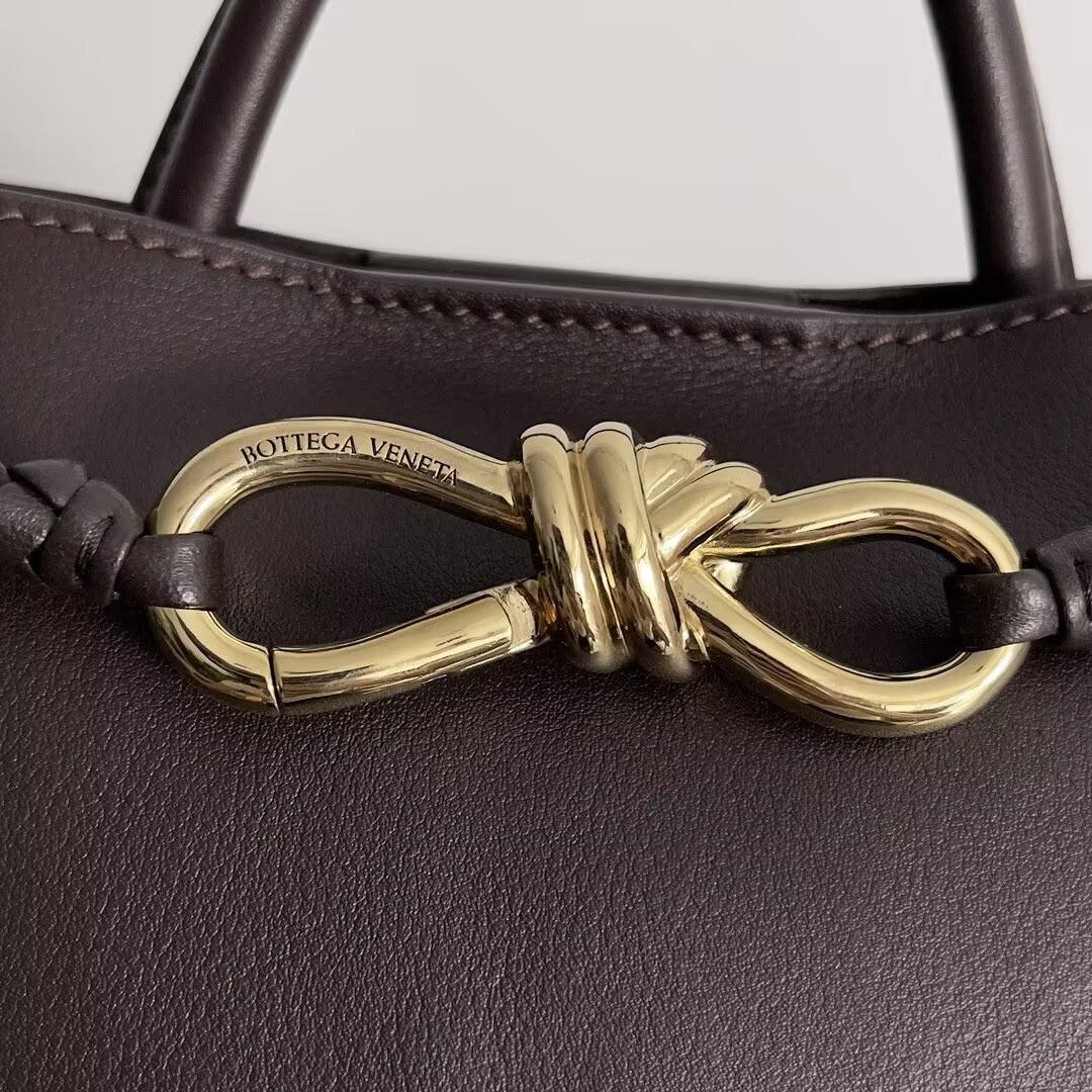 Bottega Veneta Small Andiamo 25x22x10.5cm