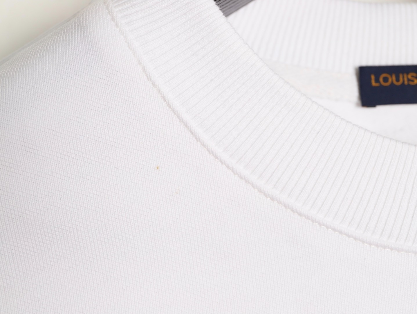 Louis Vuitton LV 25Fw Hoodies