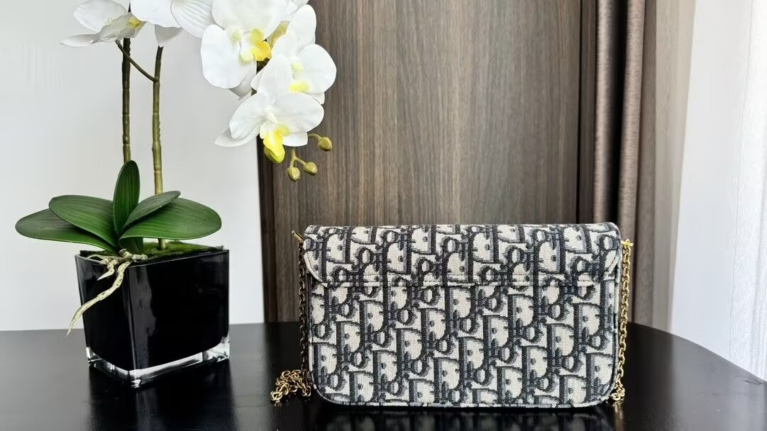 Dior Medium Saddle Pouch with Chain 21.5x13.5x4.5cm