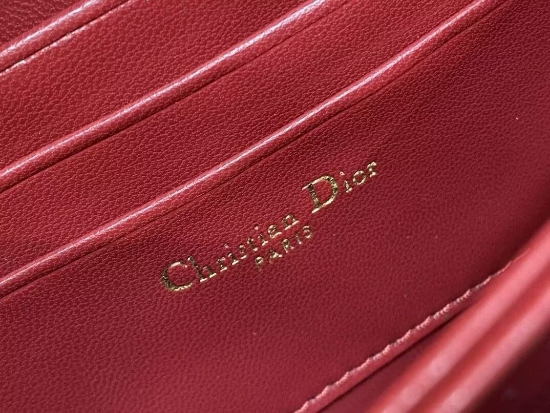 MISS DIOR MINI HANDBAG 21x11.5x4.5cm