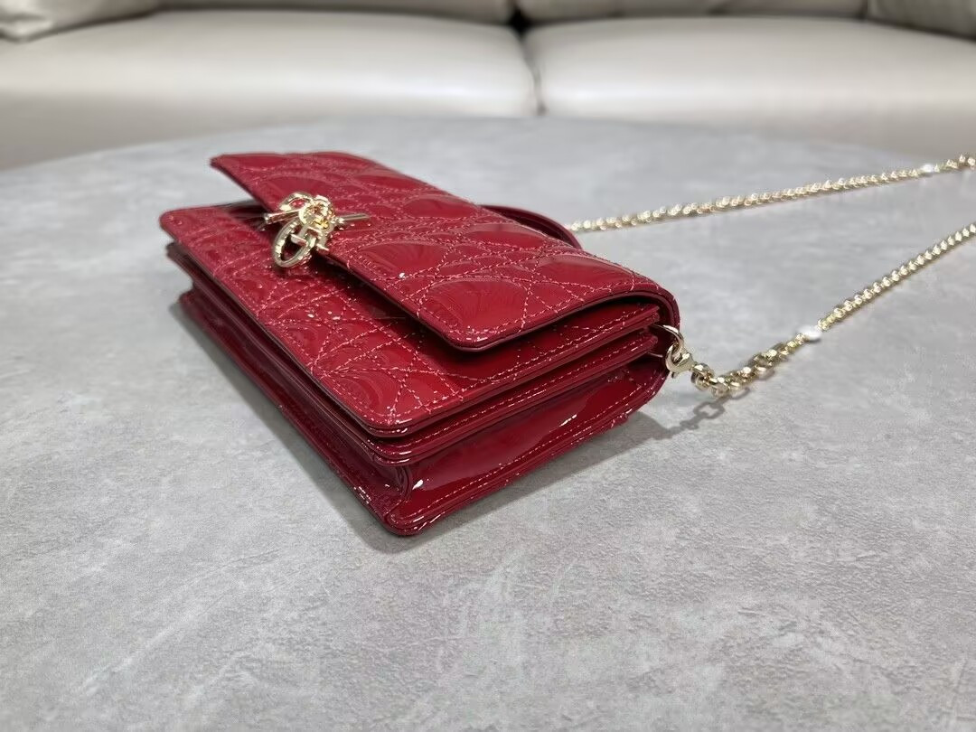 MISS DIOR MINI HANDBAG 21x11.5x4.5cm
