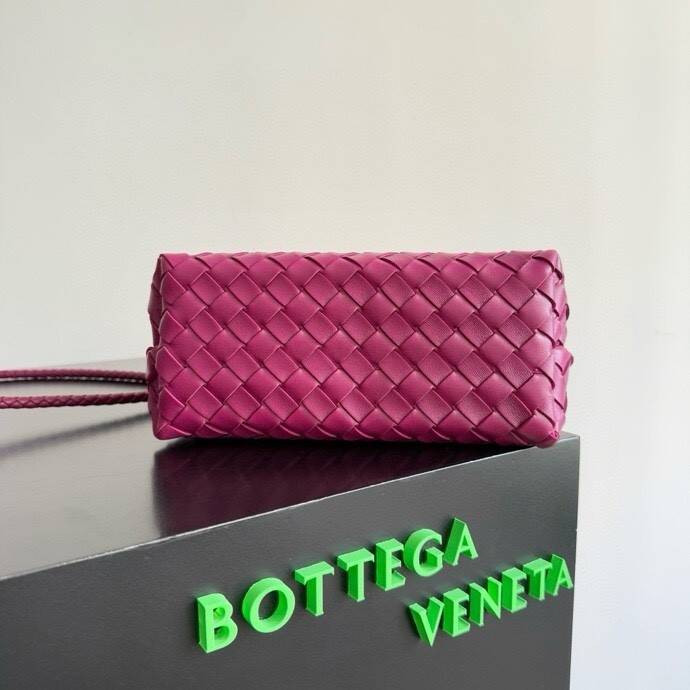 Bottega Veneta Small Andiamo 25x22x10.5cm