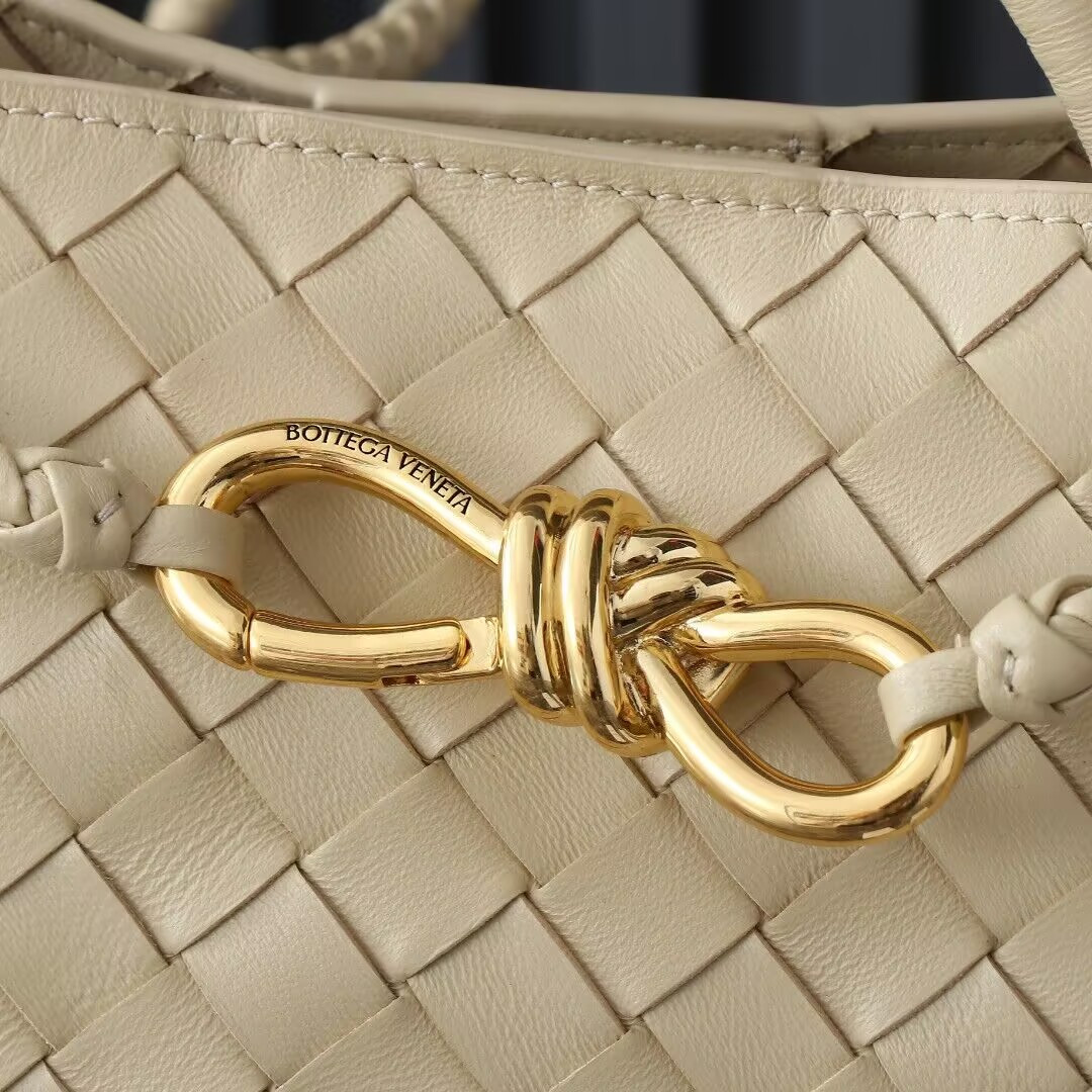 Bottega Veneta Small Andiamo 25x22x10.5cm