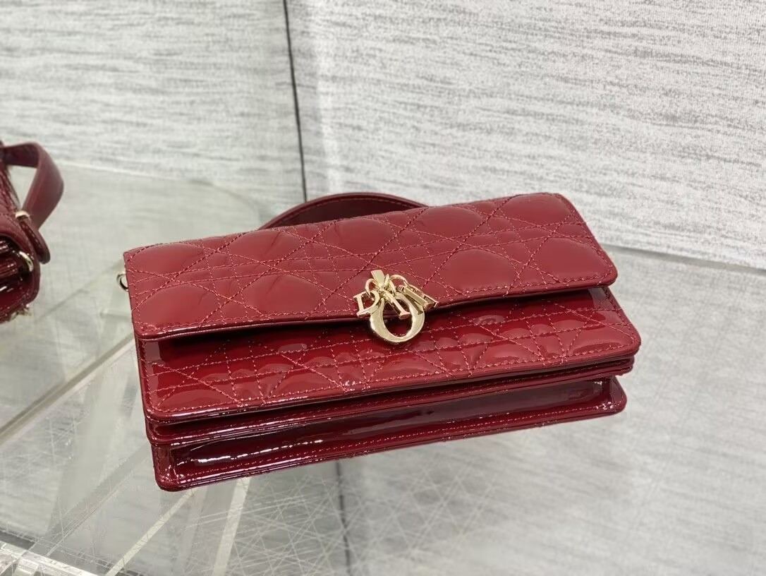 MISS DIOR MINI HANDBAG 21x11.5x4.5cm