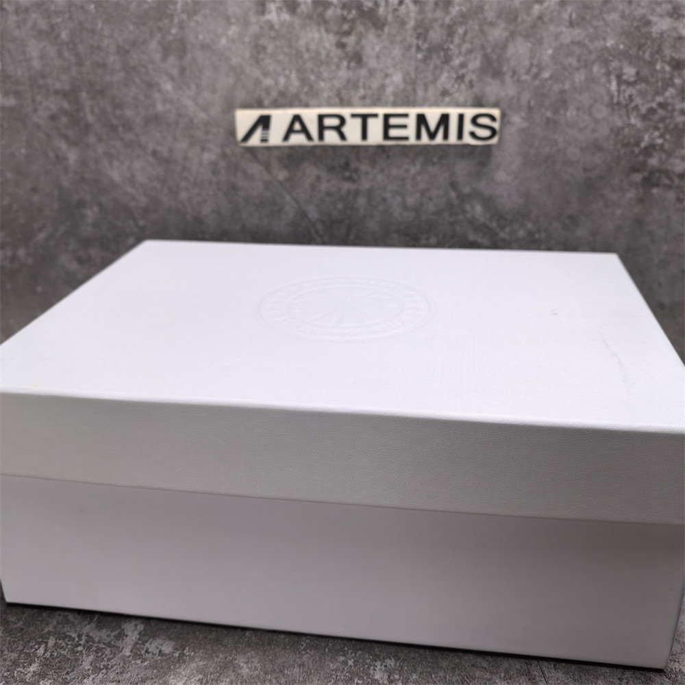 UA Canada Goose Glacier Trail Sneaker