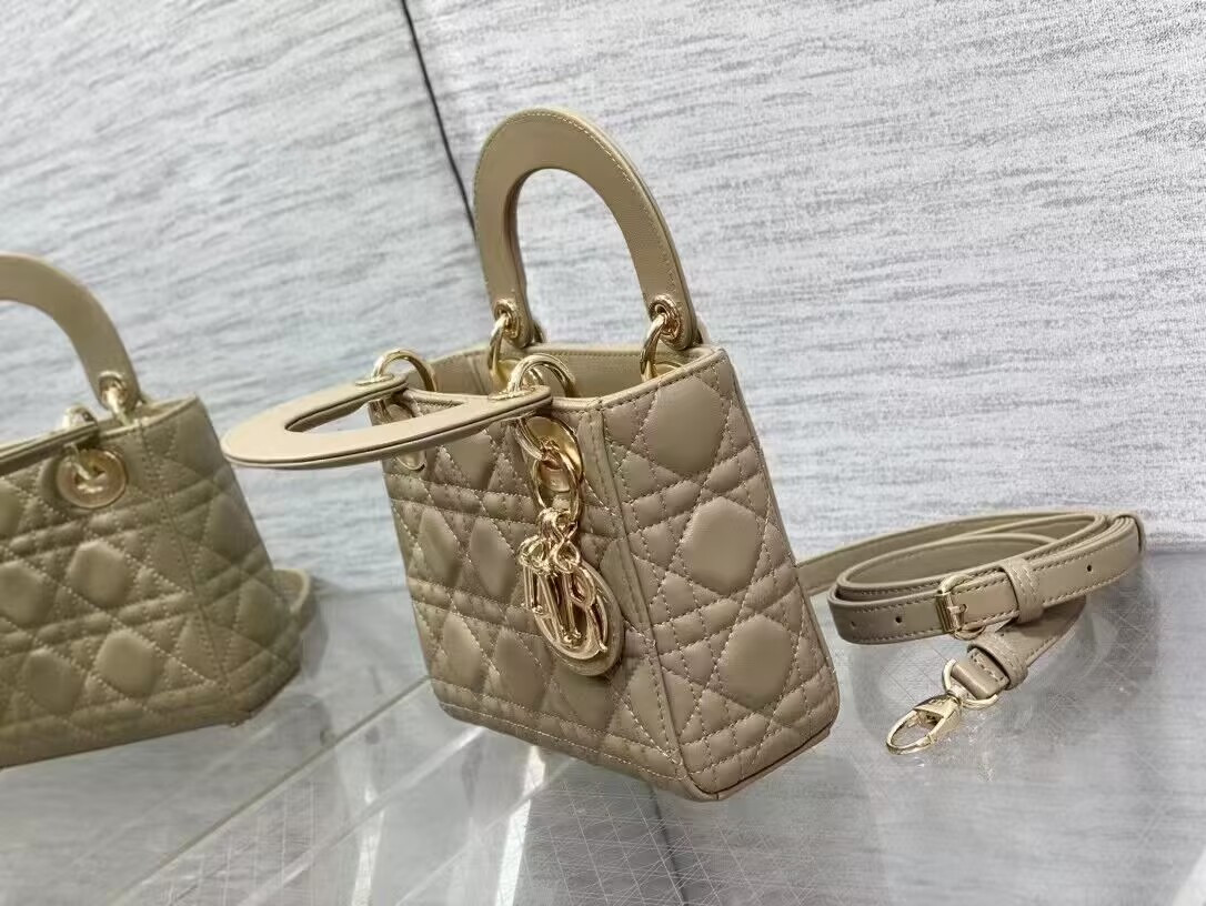 MINI LADY DIOR BAG 17x7x15cm