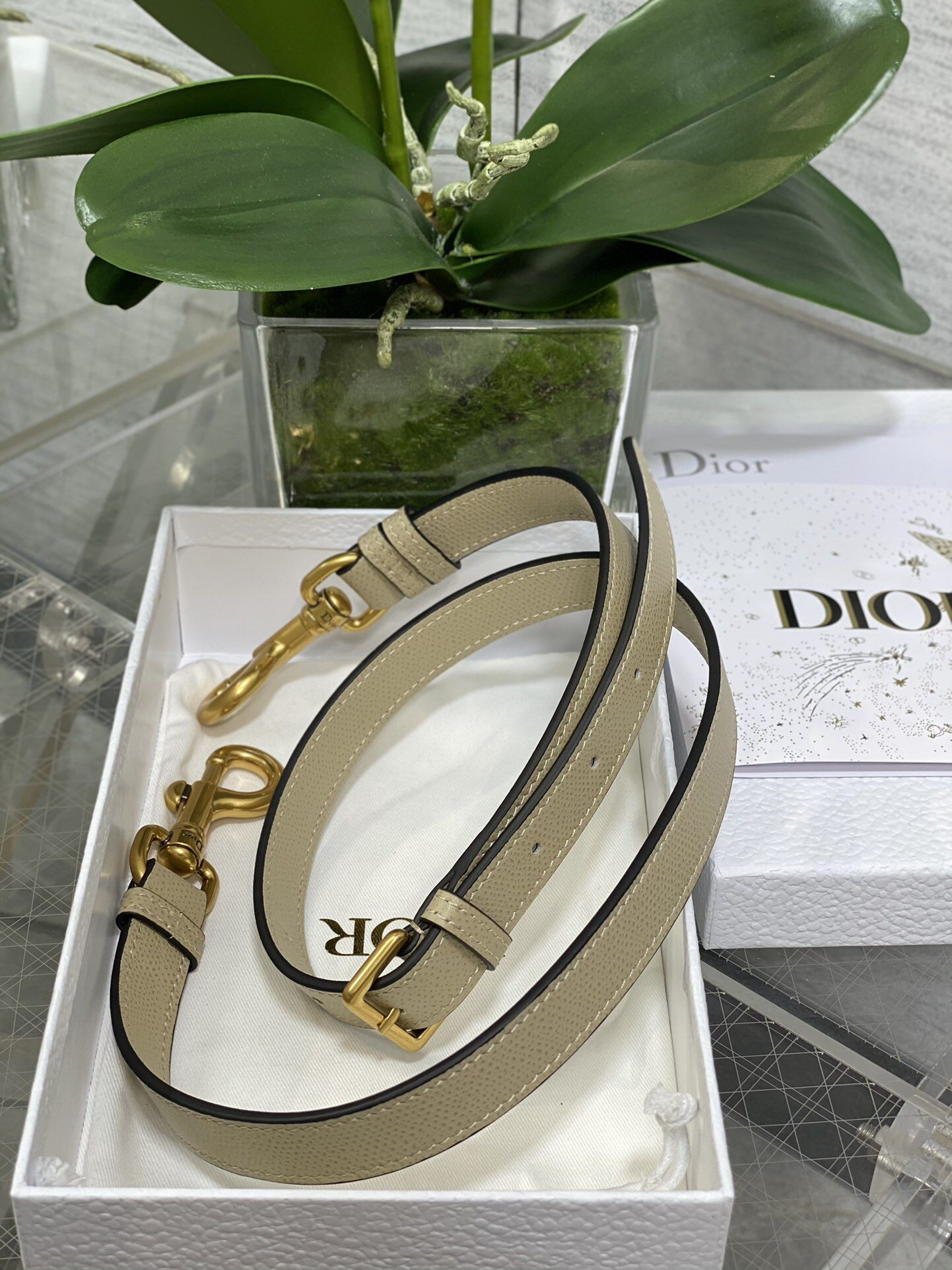 Dior Saddle Bag 25.5 x 20 x 6.5CM
