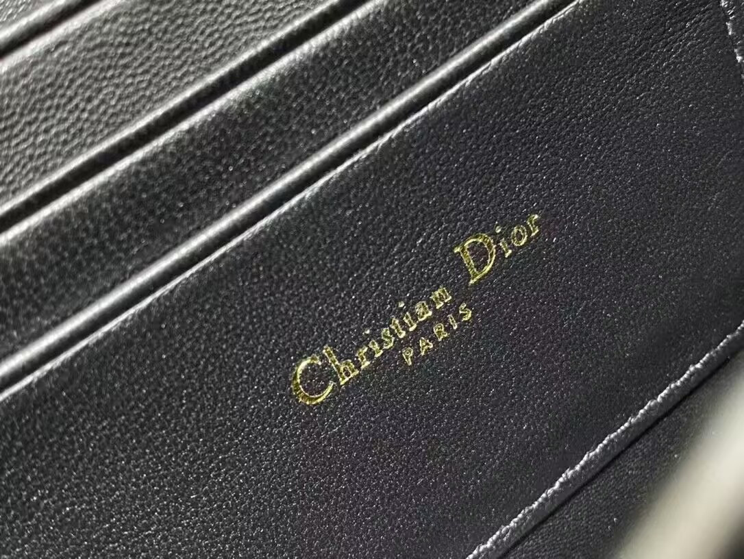 Dior Miss Caro Mini Bag 18 x 12 x 5.5 cm