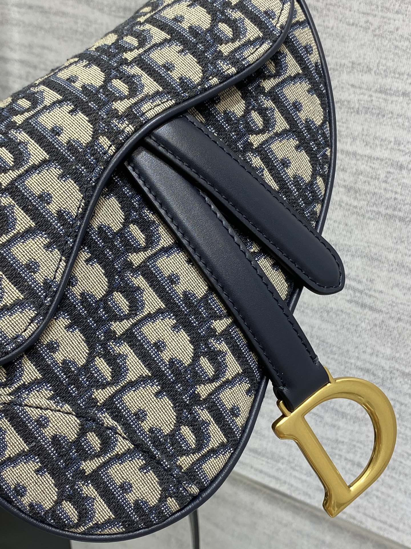 DIOR MINI Saddle Bag 19.5x18x5cm