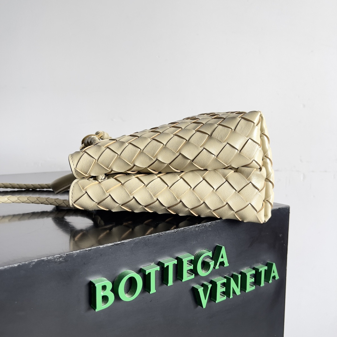 Bottega Veneta Small Andiamo 25x22x10.5cm