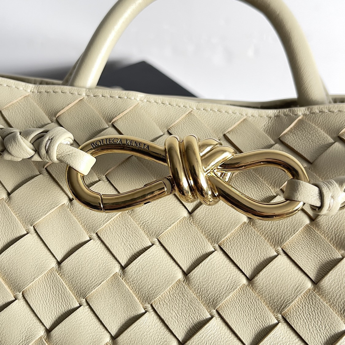 Bottega Veneta Small Andiamo 25x22x10.5cm