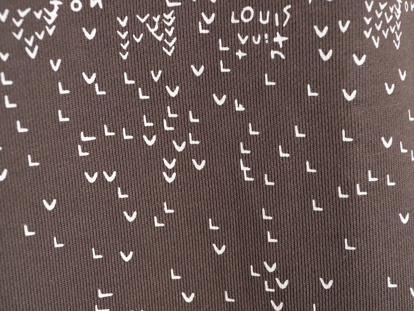 Louis Vuitton 25Fw Hoodies