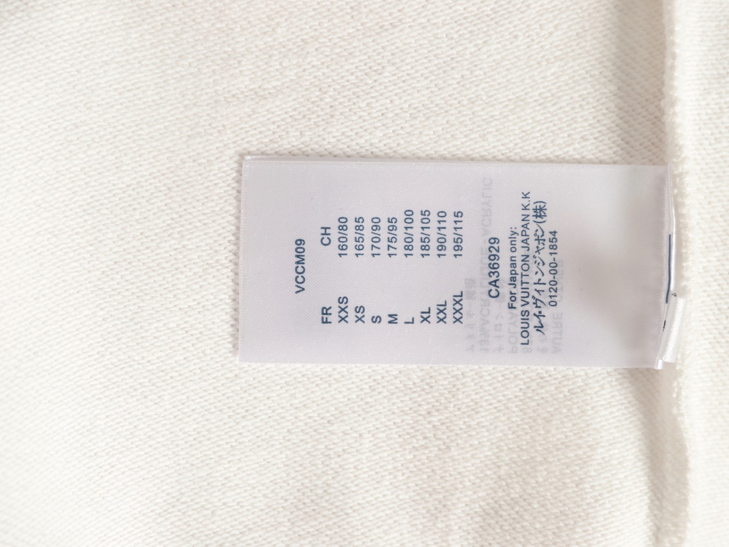 Louis Vuitton LV 25FW Hoodies