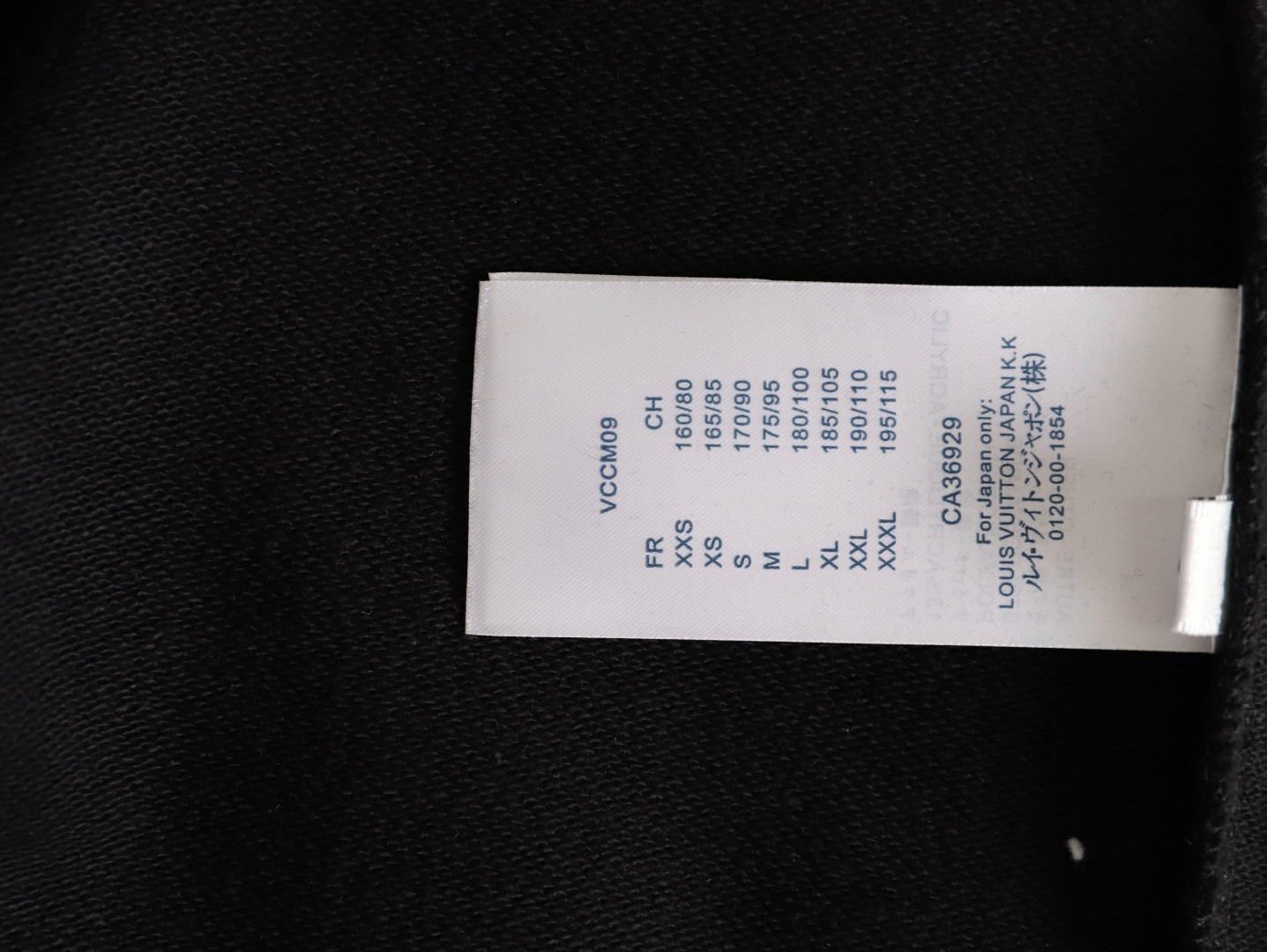 Louis Vuitton LV 25FW Hoodies