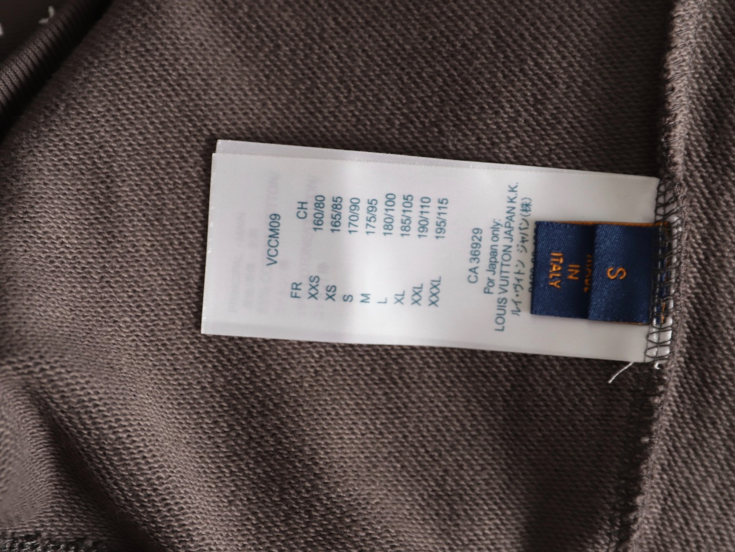 Louis Vuitton 25Fw Hoodies