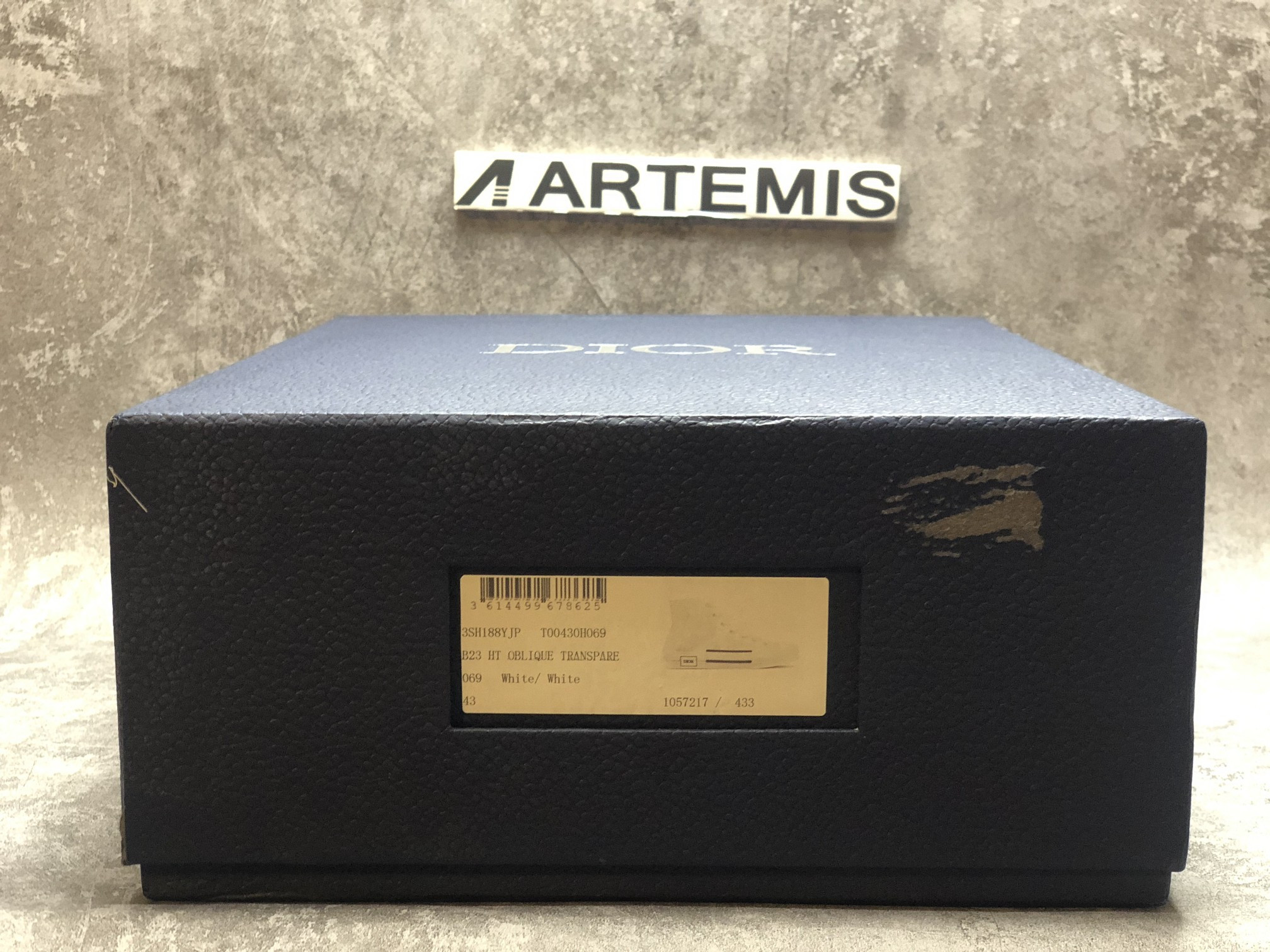 Dior B23 High Top Oblique