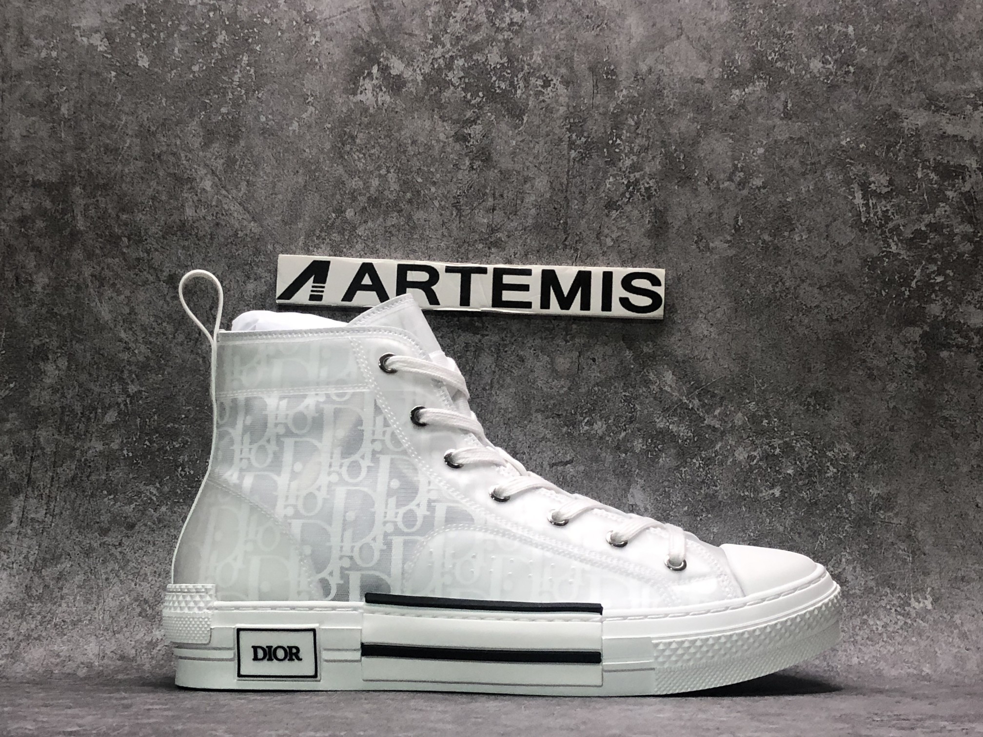 Dior B23 High Top Oblique