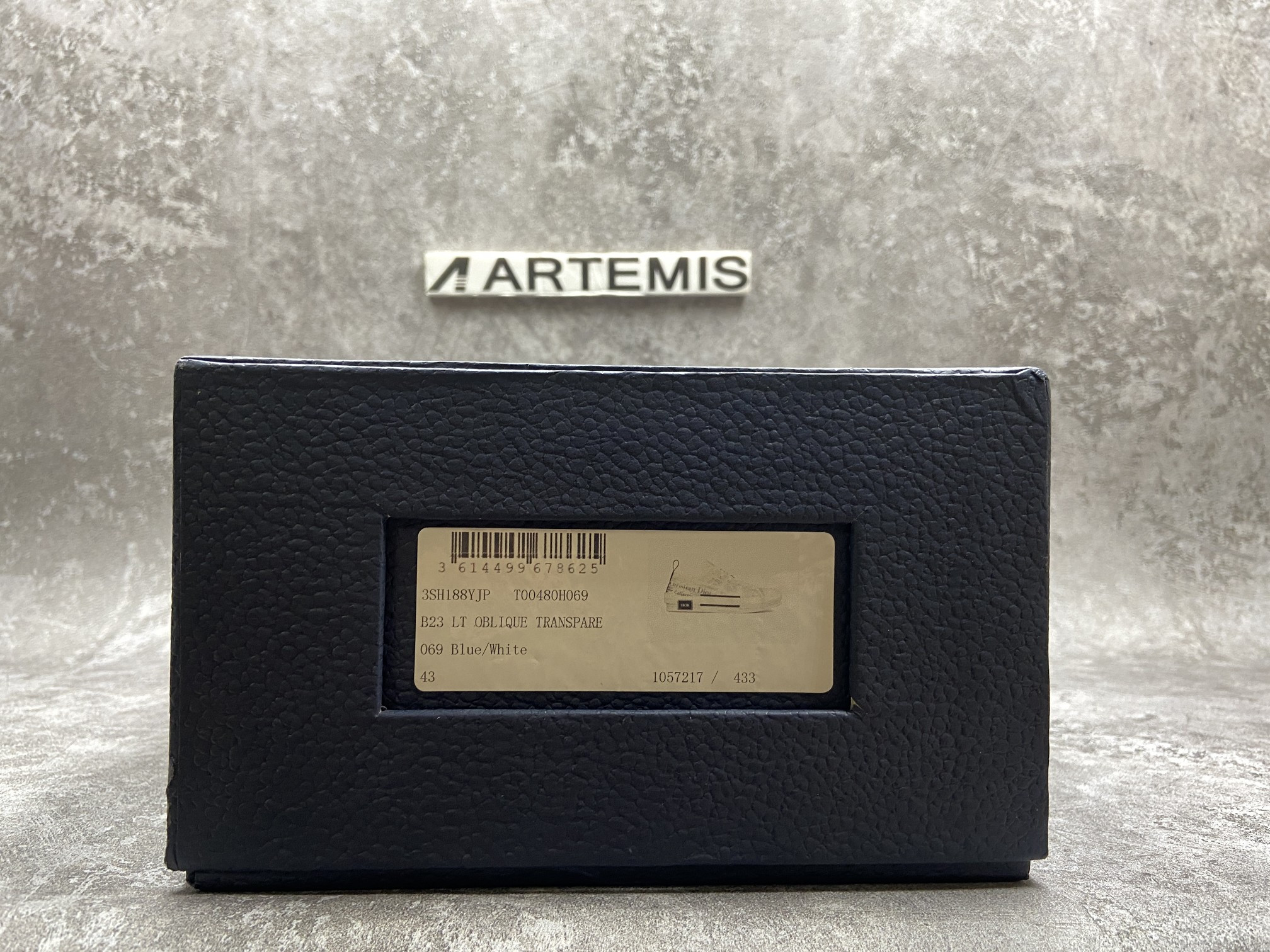 Dior B23 Low Top Daniel Asham Newspaper