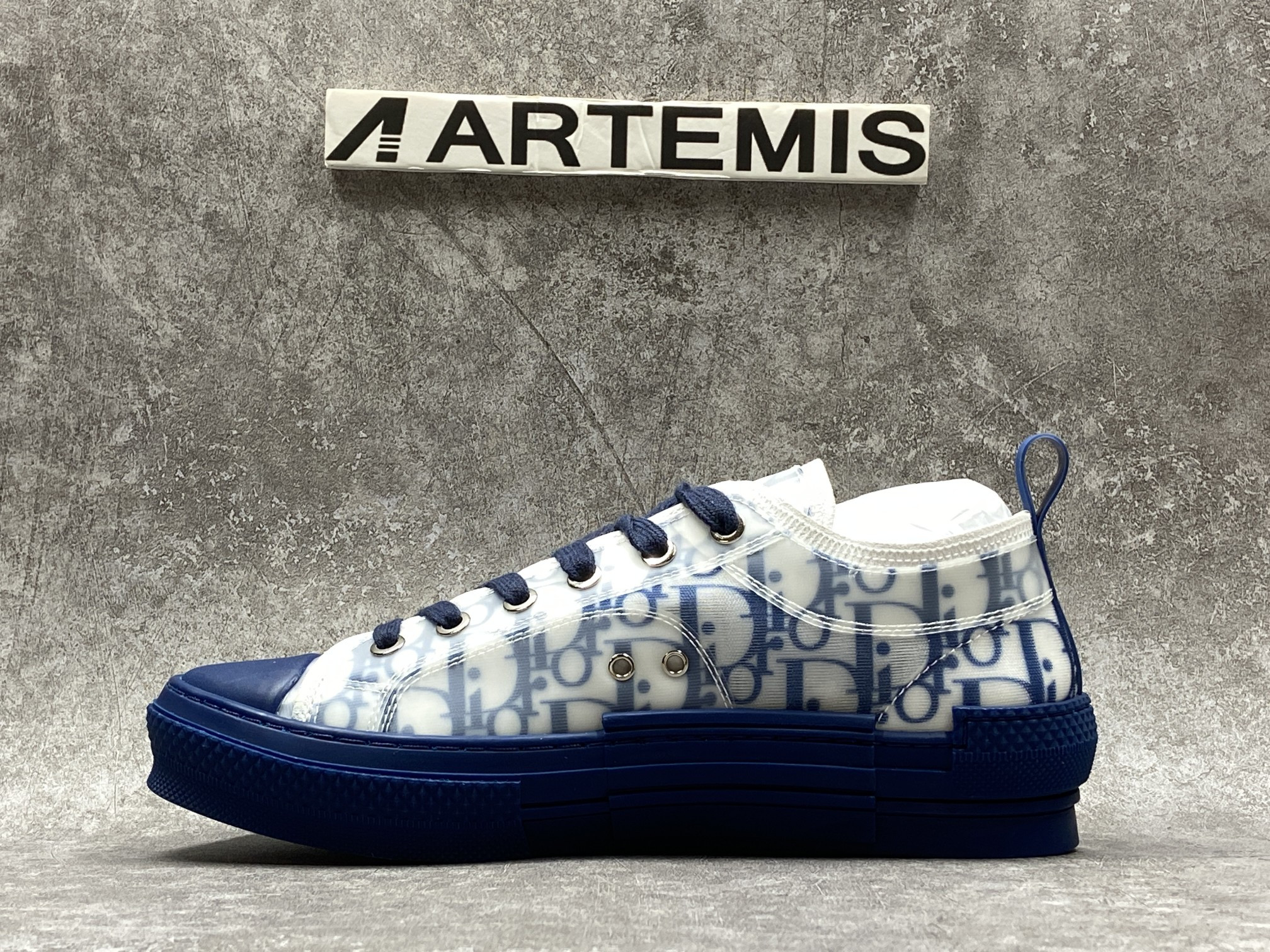 Dior B23 Low Top Blue Oblique