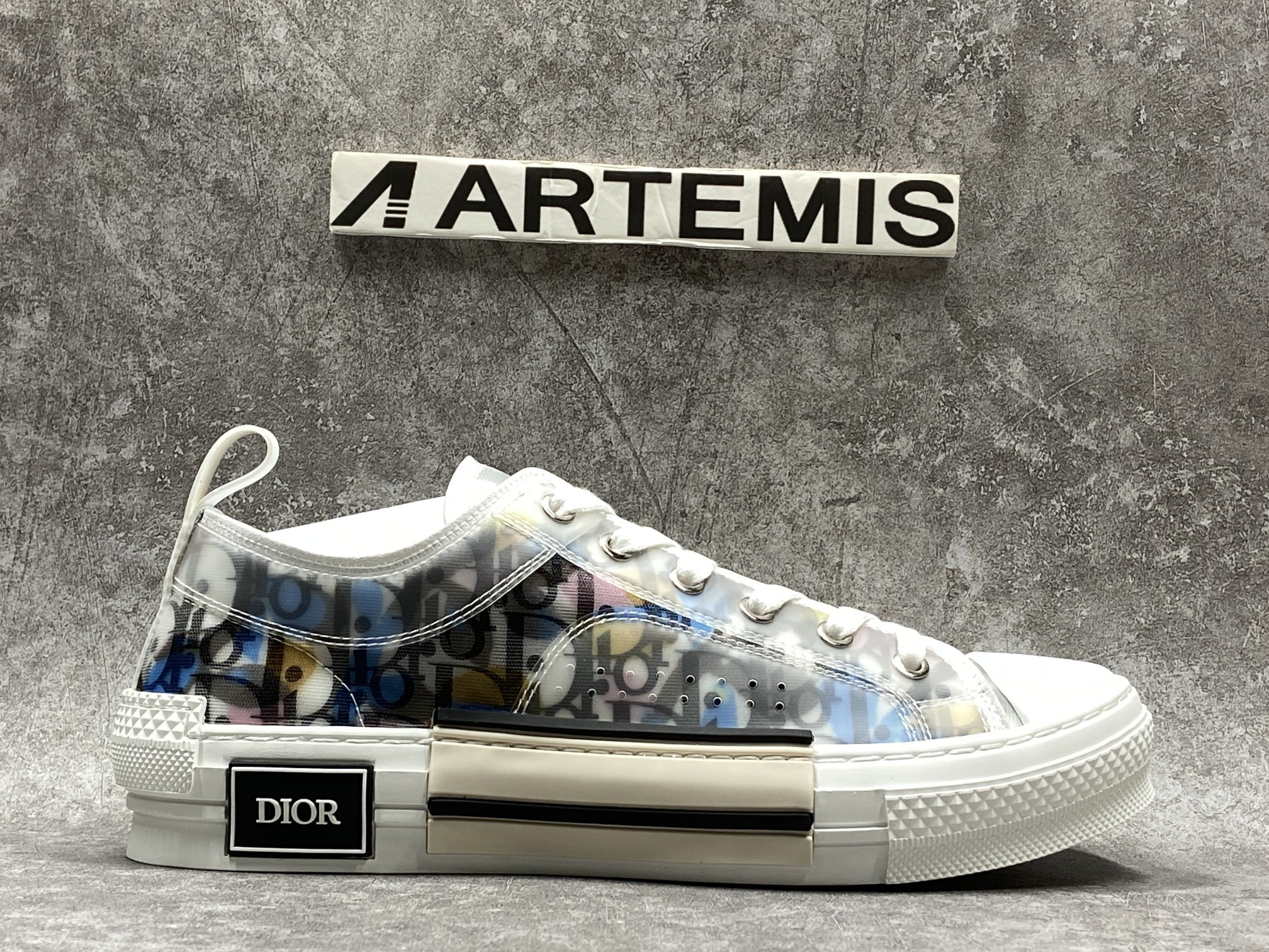 Dior B23 Low Top Alex Foxton Oblique