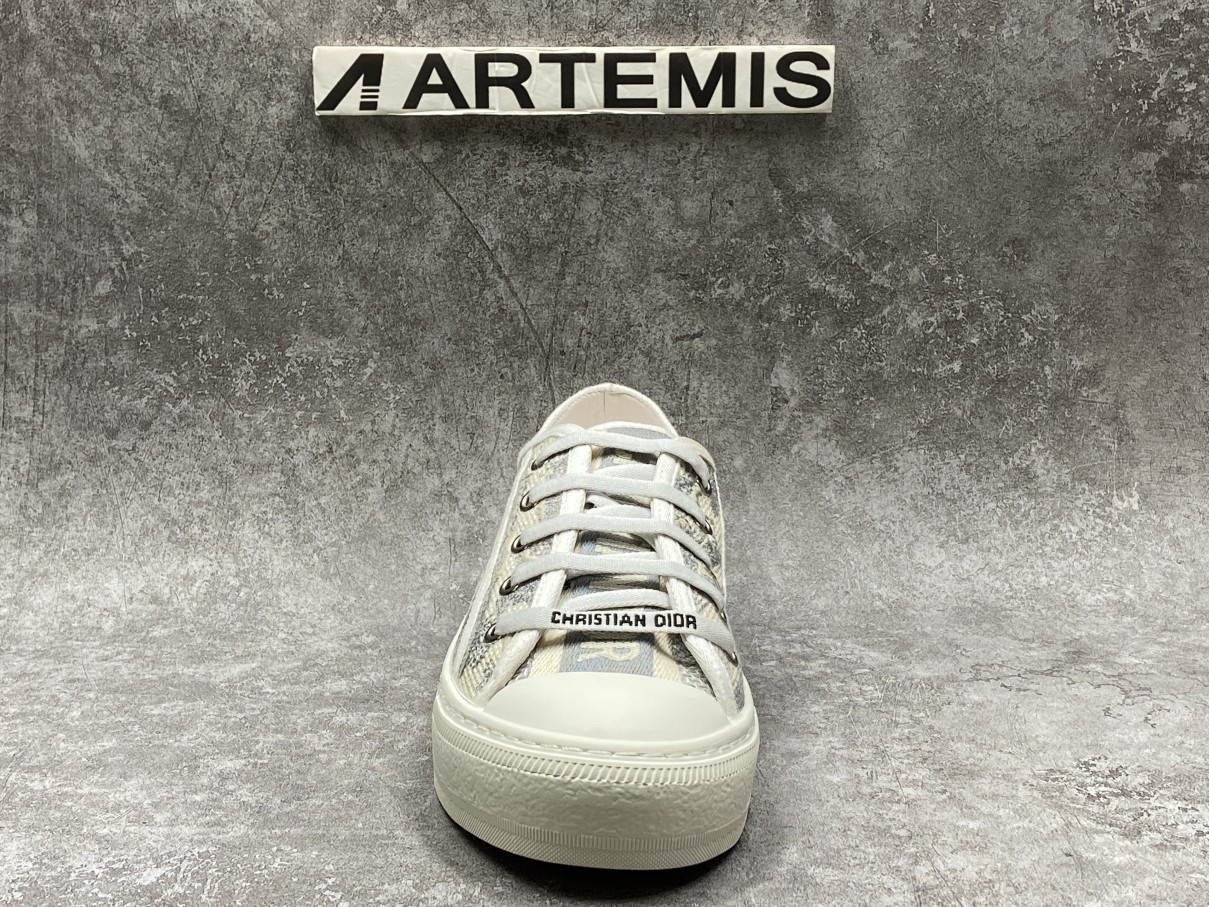 Dior Walk N Dior Patch Embroidery Grey