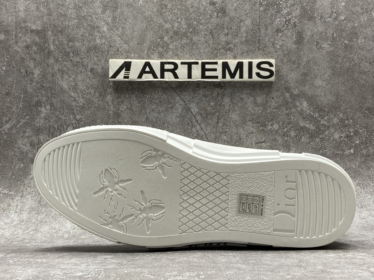 Dior And Shawn B23 High Top Bee Embroidery