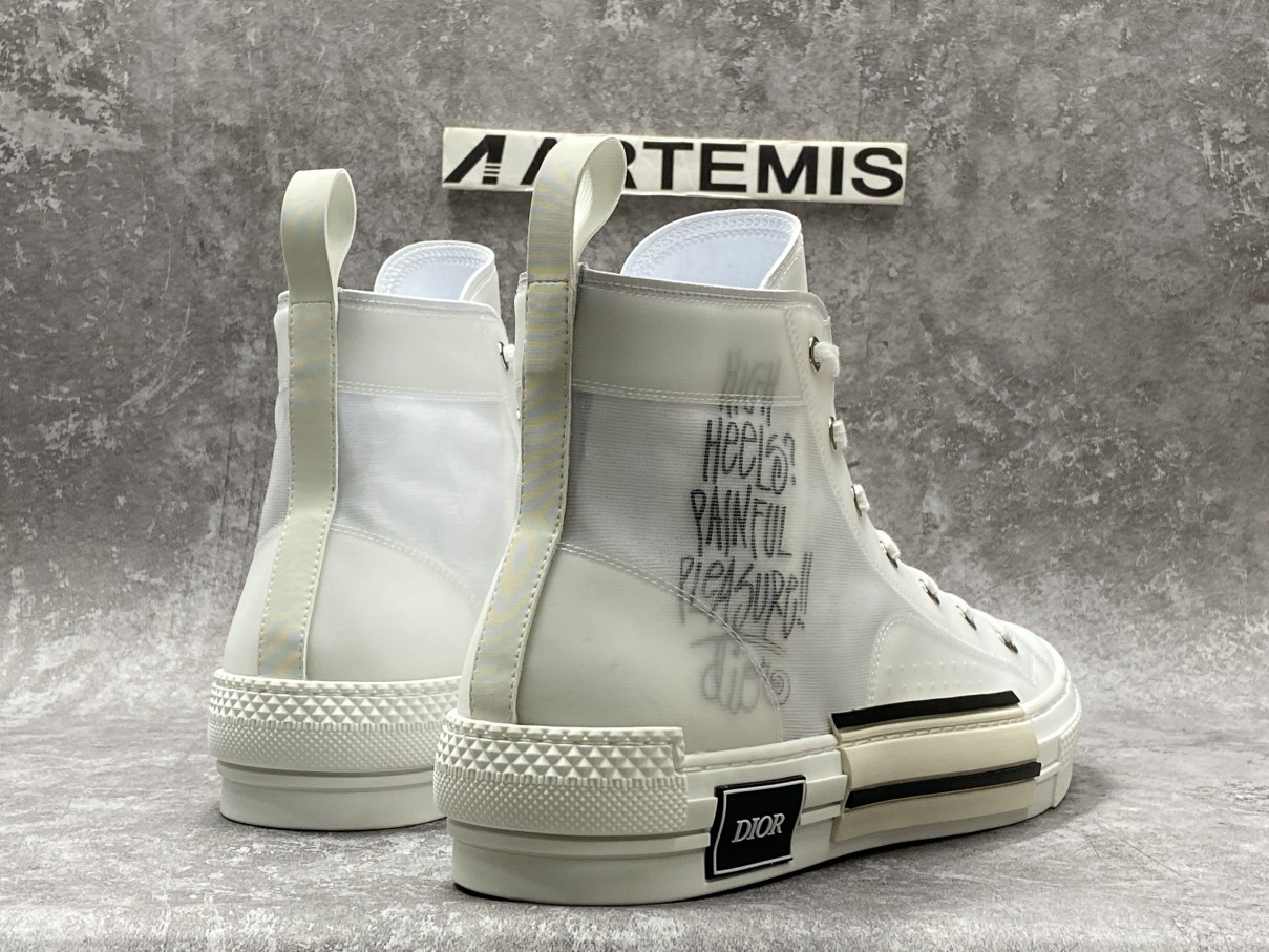 Dior B23 High Top White