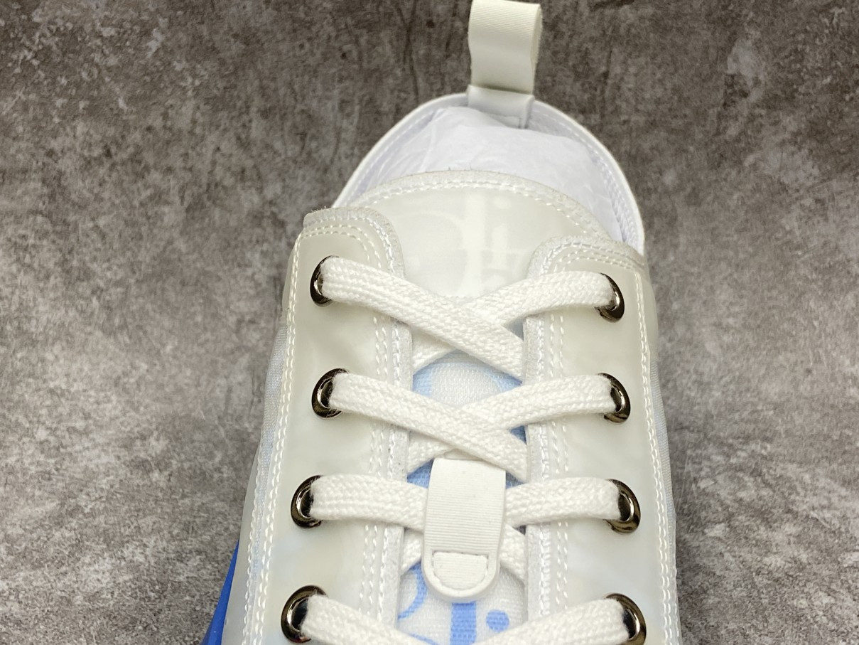 Dior B23 Low Top Gradient Blue