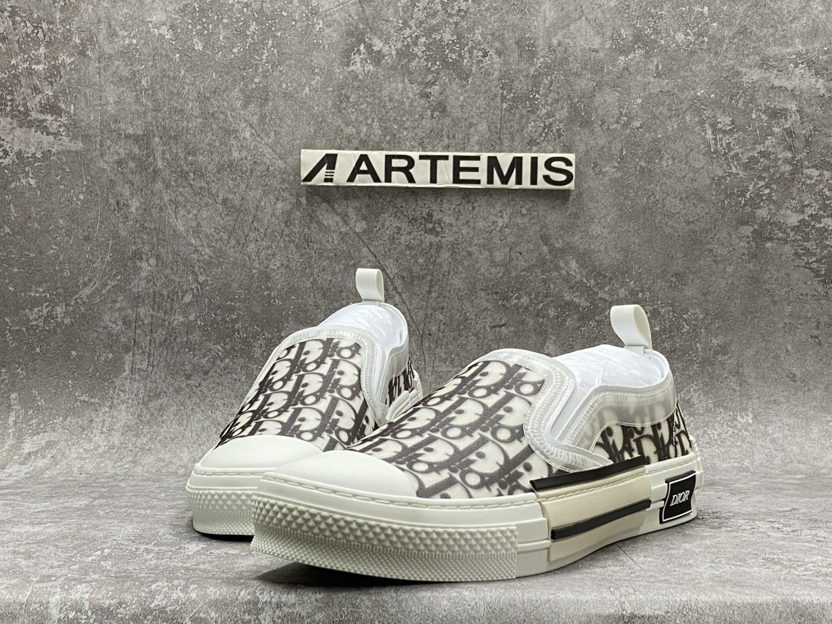 Dior And Shawn B23 Slip On Logo Oblique