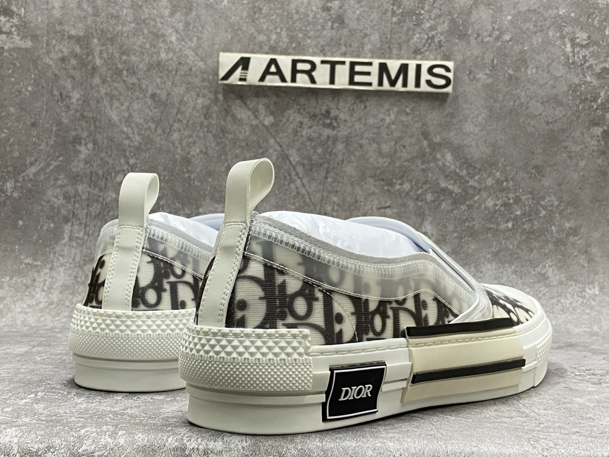 Dior And Shawn B23 Slip On Logo Oblique