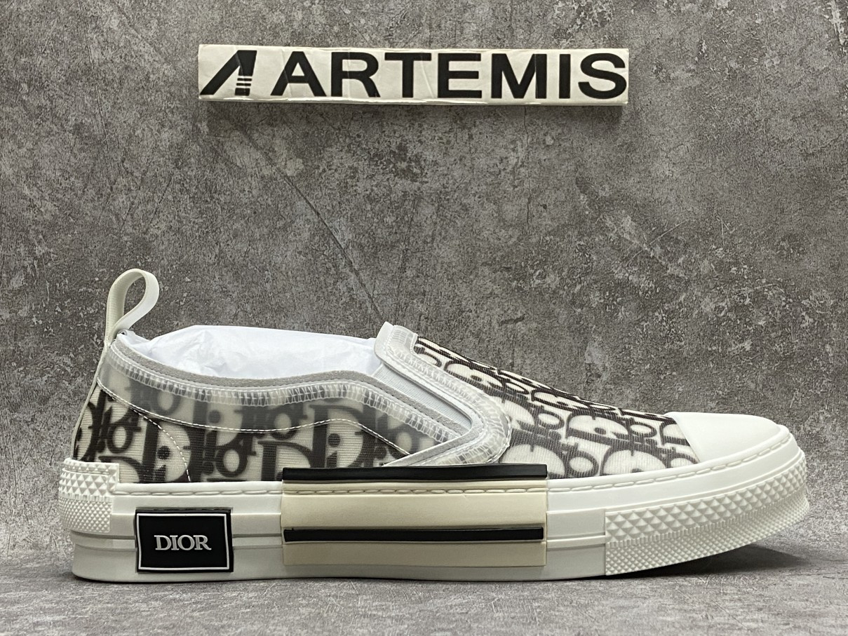 Dior And Shawn B23 Slip On Logo Oblique