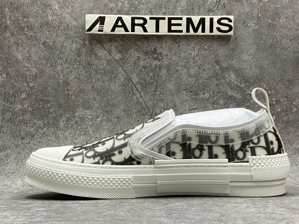 Dior And Shawn B23 Slip On Logo Oblique