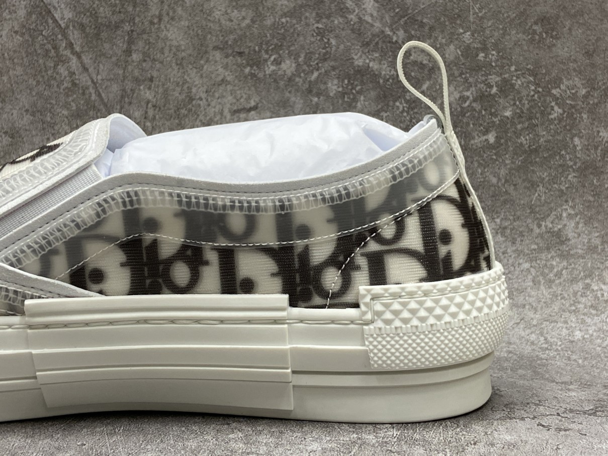 Dior And Shawn B23 Slip On Logo Oblique
